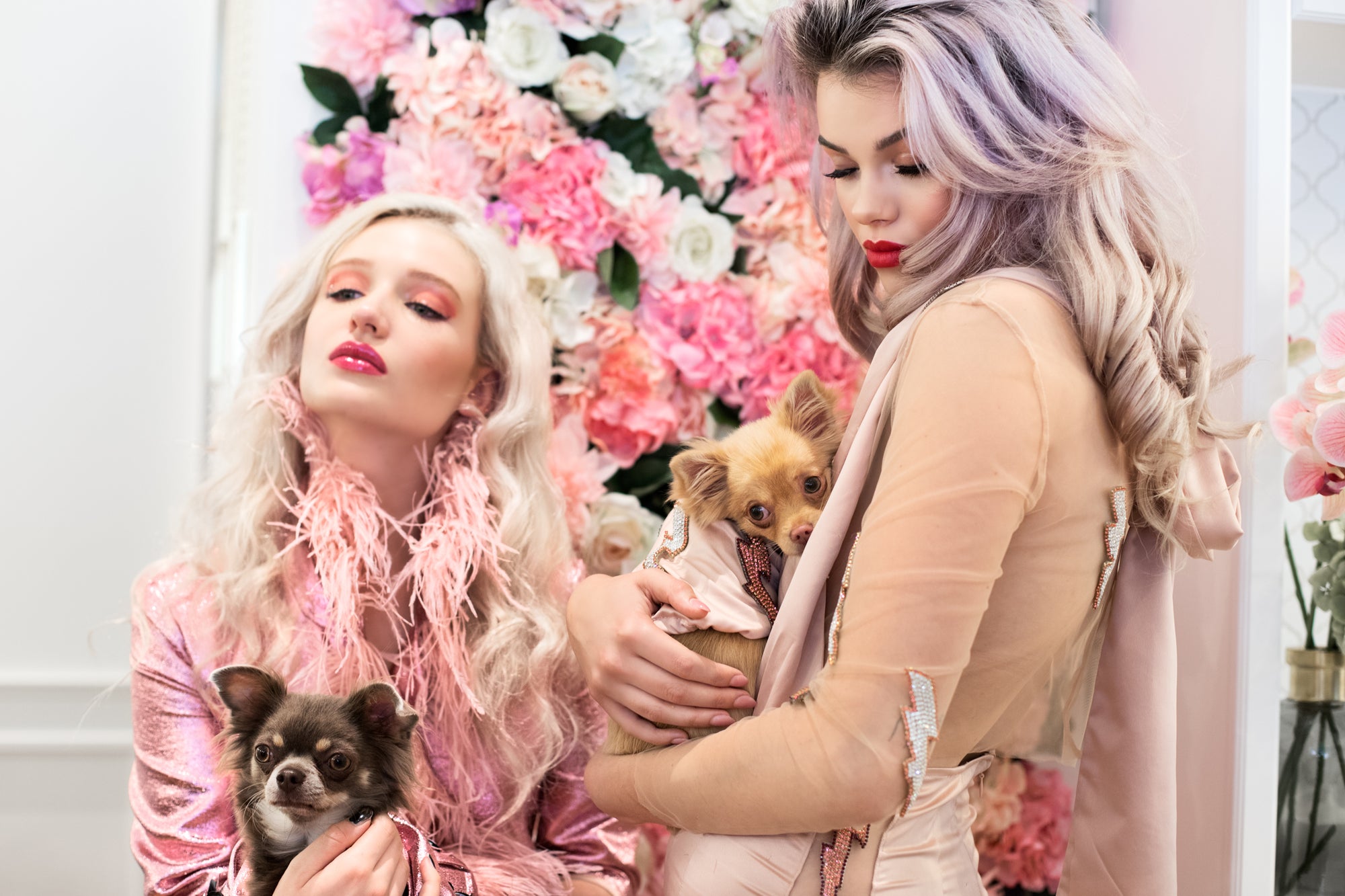 Close-up of girls in pink dresses holding dogs