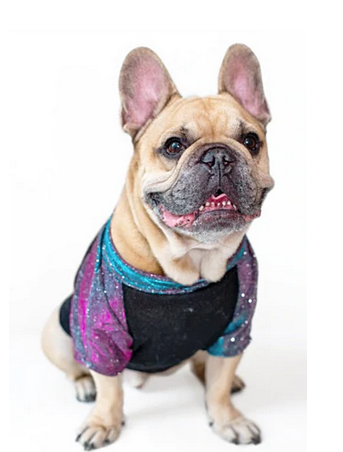 WHAT’S NEW IN THE FASHION INDUSTRY? HAUTE-COUTURE DOGSWEAR