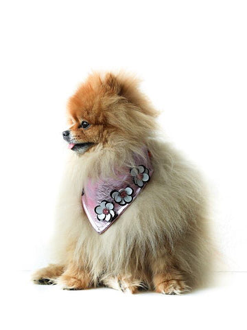 "MISS PINKY" Dog bandana